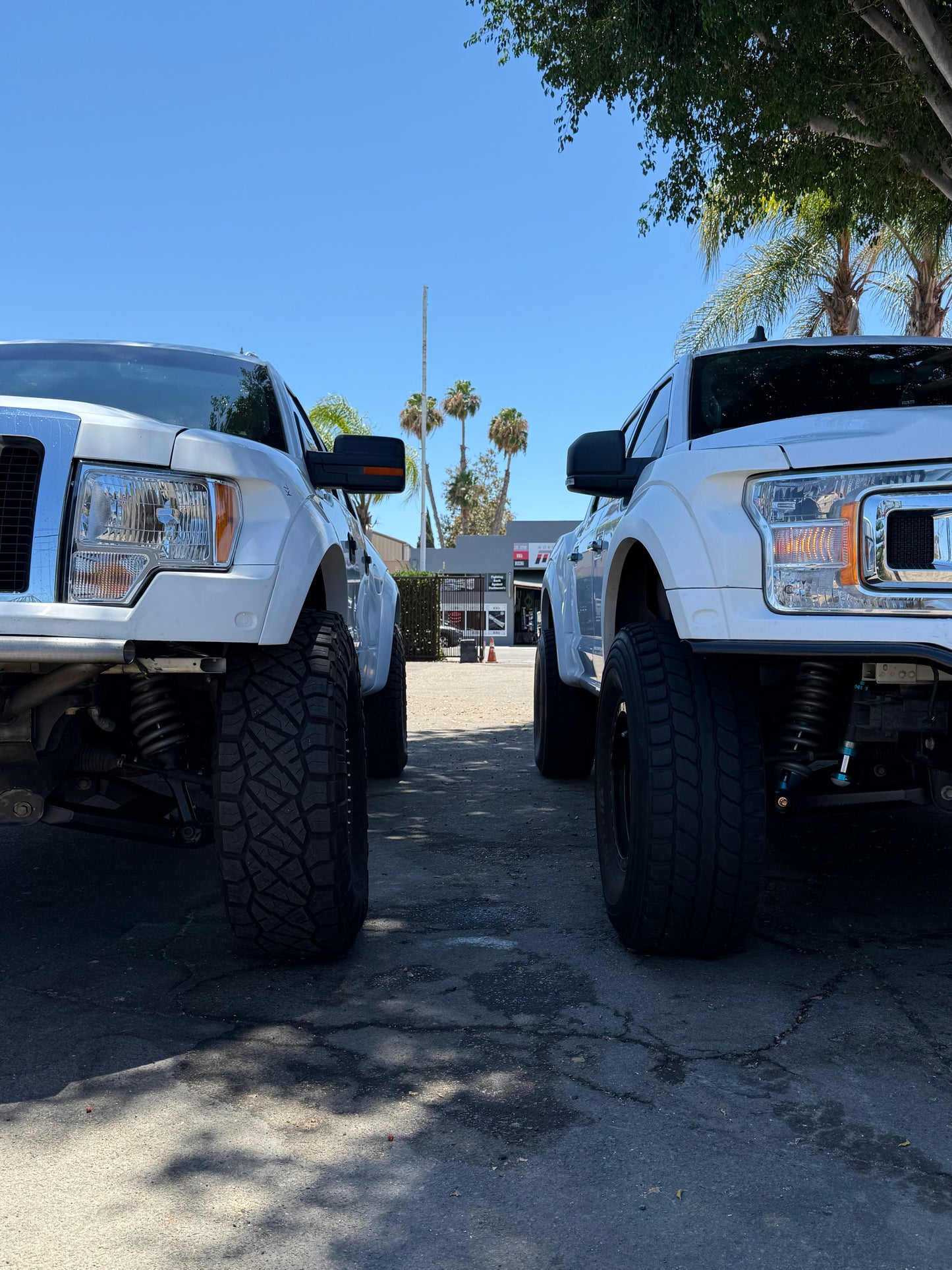 Ford Raptor OEM Width Lower control arms